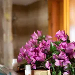 Vittoria Hotel San Felice Circeo