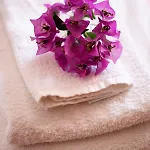 Hotel Vittoria *