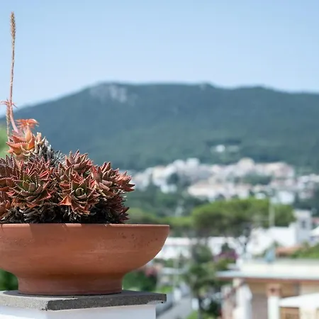 Vittoria Hotel San Felice Circeo